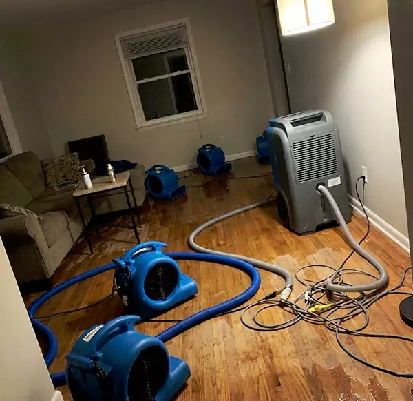 Why Homeowners & Businesses Choose Durham Water Damage Pro for Emergency Water Restoration in Durham, NC?